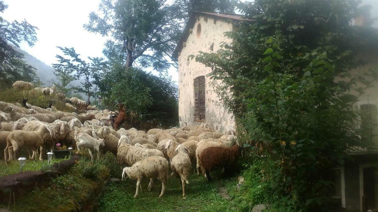 B&B L'Abric - Centro Storico Di Limonetto リモーネ・ピエモンテ エクステリア 写真